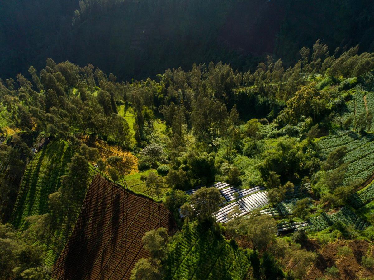 Plataran Bromo Hotel Luaran gambar