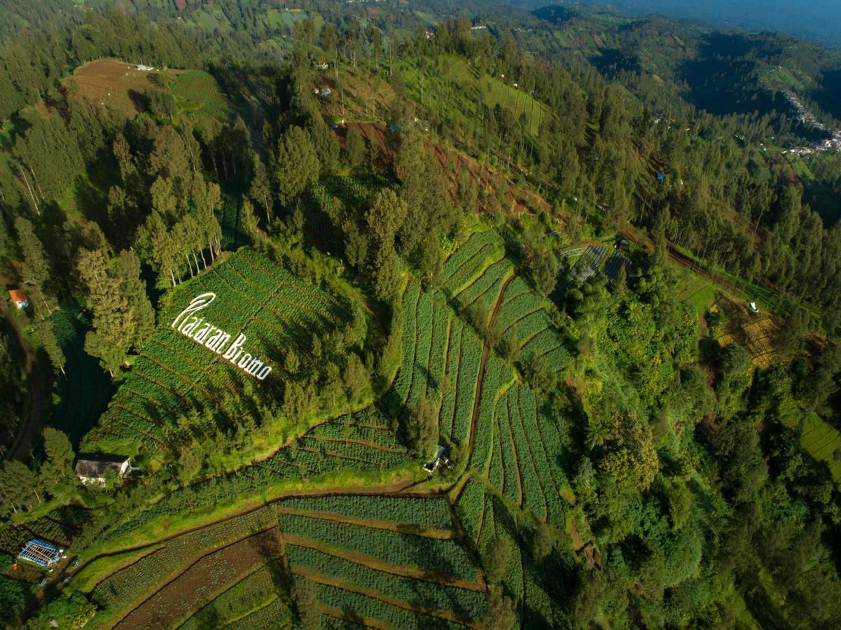 Plataran Bromo Hotel Luaran gambar