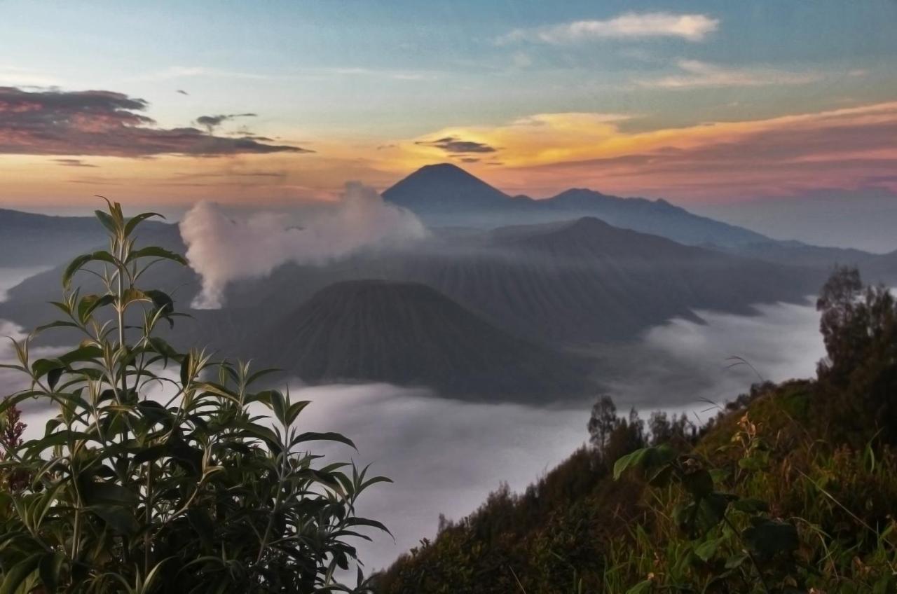 Plataran Bromo Hotel Luaran gambar